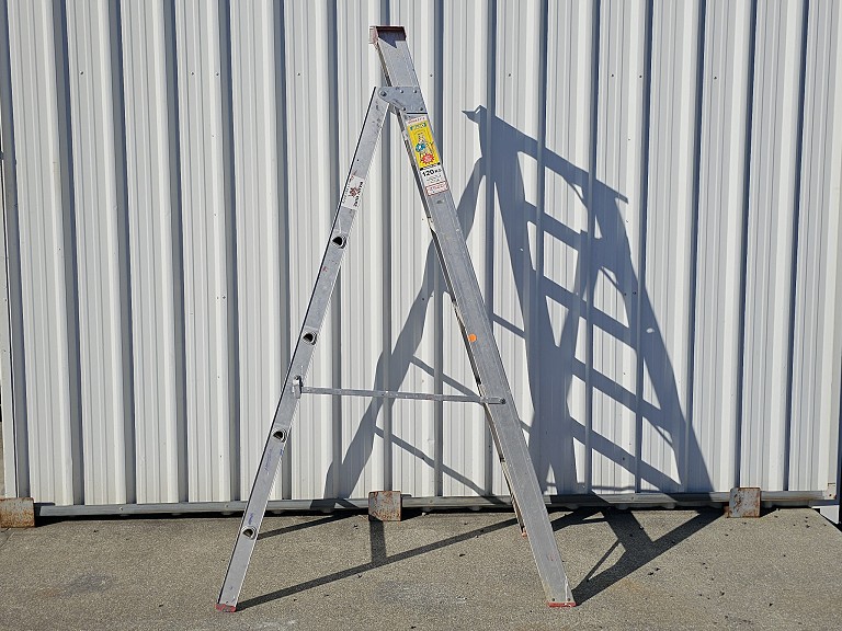Step  Ladder 12 foot